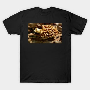 Morel mushroom T-Shirt